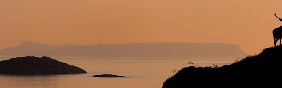 main_stag_eigg